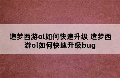 造梦西游ol如何快速升级 造梦西游ol如何快速升级bug